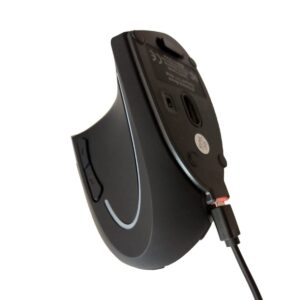 Warren Wireless Comfort Mouse