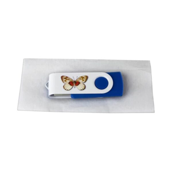 A USB flash drive with a white body and blue accent, featuring a butterfly design on its swivel cover, is placed on a rectangular piece of white paper.