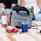 A picnic scene with a Milwuakee cooler bag containing a speaker, surrounded by wine bottles, a tumbler, a container, and a plate of strawberries, grapes, and cheese on a striped blanket. Two people are seated nearby.