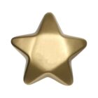 A glossy, golden, five-pointed star set against a plain white background.