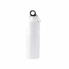 Stirling Logo Branded 750ml metal bottle with black lid and carabiner on white background.