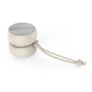 Move Bluetooth Speakers