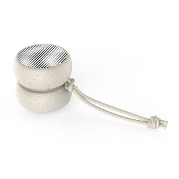 Move Bluetooth Speaker