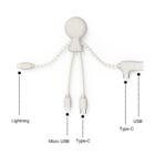 Cable with four connectors: Lightning, Micro USB, Type-C, and USB, arranged like arms and legs.