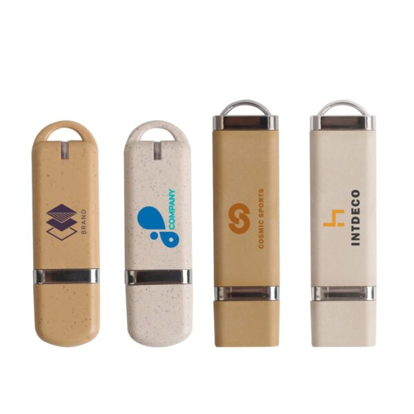2GB Eco Constellation USBs