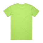 A plain, light green T-shirt shown from the back, laid flat on a white background.