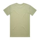 Plain light green short-sleeved t-shirt shown from the back on a white background.