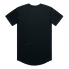Plain black short-sleeve T-shirt shown from the back on a white background.