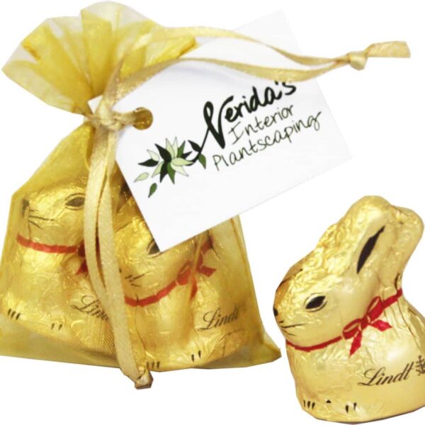Organza Bag with 10g Gold Lindt Bunnies