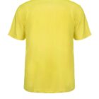 Back view of a yellow T-shirt with a black collar on a white background.