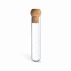 A clear glass test tube with a cork stopper on a white background.