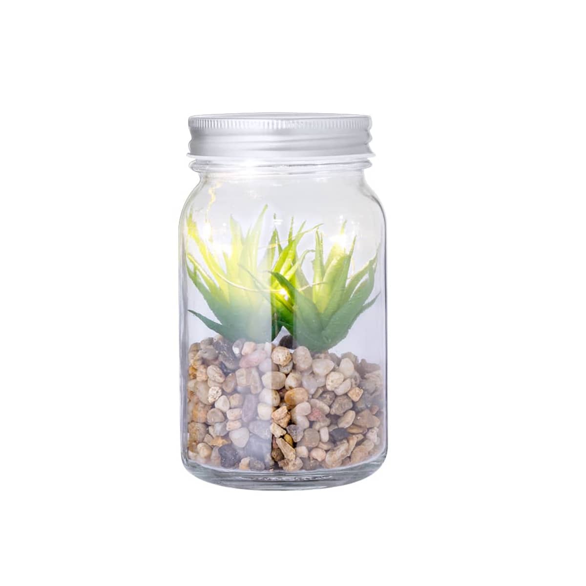 A small succulent in pebbles inside a glass jar with soft glowing lights.