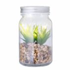 A small succulent plant in a glass jar with pebbles at the bottom.