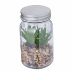 A small succulent plant in a glass jar filled with pebbles and closed with a metal lid.