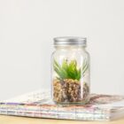 A small plant in a mason jar sits on top of a closed book.
