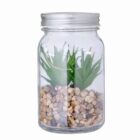 A small succulent plant in a glass jar filled with pebbles.