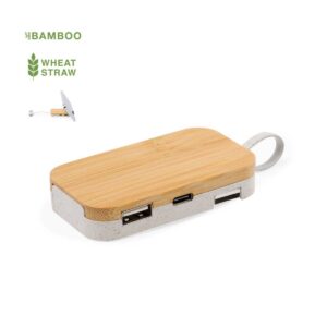 Extractable USB Hubs