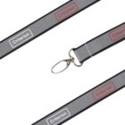 Gray lanyard with Criterion printed in red and white on it, featuring a metallic swivel clip at the end.
