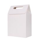 White cardboard box with a top handle, designed for carrying items.