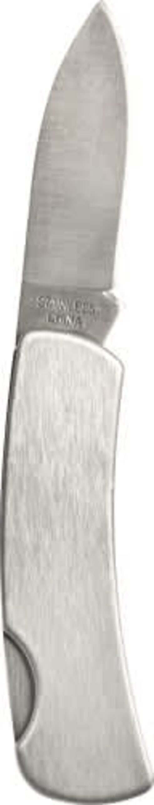 Closed stainless steel folding knife with a short blade.