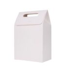 White cardboard box with handle, standing upright against a plain backdrop.