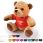 Brown teddy bear wearing a red t-shirt with text, sitting with arms and legs outstretched.