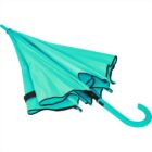 Closed turquoise umbrella with curved handle on a white background.