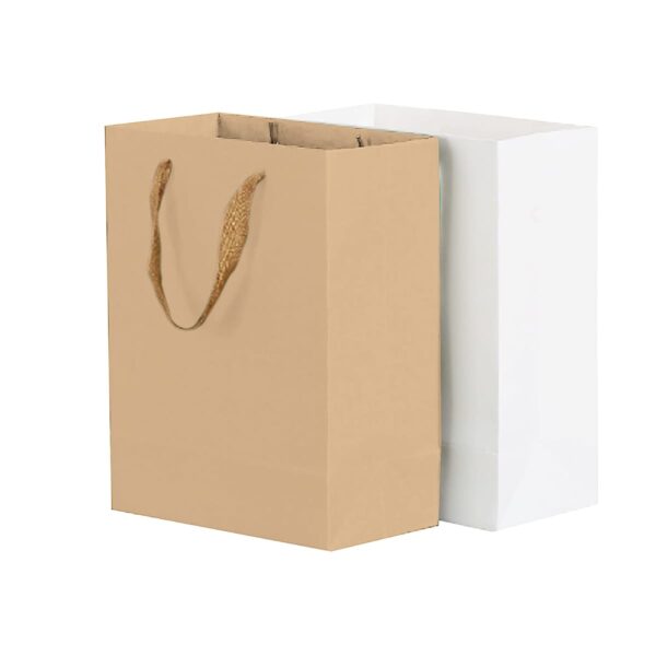 Two paper bags, one brown with handles, and one white without handles, side by side.