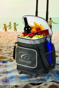 cooler bag