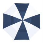 Blue and white umbrella viewed from above, showing alternating colored panels.