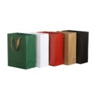 Five paper bags in green, white, red, brown, and black, with rope handles, standing in a row.