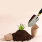 Small plant in soil with a trowel and biodegradable pots on a light background.