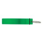 Green rectangular keychain with a metal key ring attached on the right side.