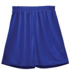 Blue athletic shorts with an elastic waistband.