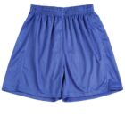 Blue athletic shorts with an elastic waistband, displayed on a plain white background.
