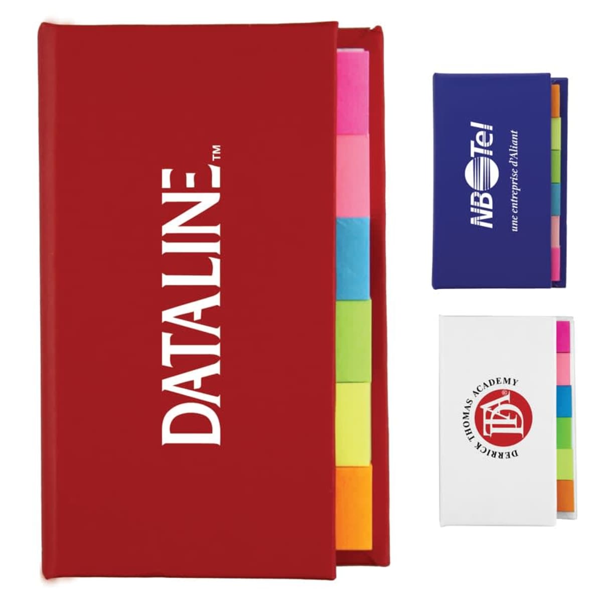 Red notebook with DATALINE text and colored sticky notes, alongside blue and white notebooks.