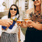 Three people clink beer and wine glasses outdoors. Two women, wearing sunglasses, hold glasses of beer and wine, while another person holds two beer bottles. They appear to be enjoying a casual gathering.