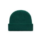 Green knitted beanie hat with a folded brim on a white background.