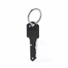 Black key with a ring on a white background.