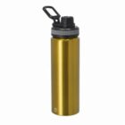 A metallic gold water bottle with a black screw-on lid and carrying handle.