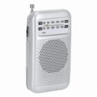 Silver portable AM/FM radio with speaker and tuning display on the front.