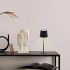 Modern table with a sculpture, books, a lamp, and a dried plant against a plain wall.