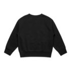 Back view of a plain, black, long-sleeve sweatshirt on a white background.