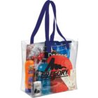 Clear tote bag with a camera, sunscreen, beverage, chips, red cap, and blue straps.