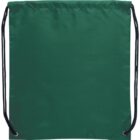 Green drawstring bag with black cords.