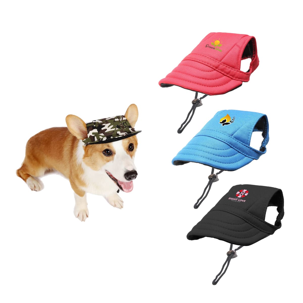 Corgi wearing a camo cap sits next to three caps: red, blue, and black with logos.