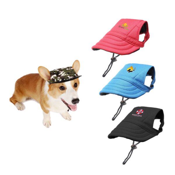 Corgi in a camo cap next to three colorful dog caps on display.