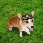 Corgi wearing a camouflage hat on bright green grass.