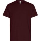 Plain dark maroon short-sleeve t-shirt on a white background.