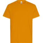 Plain orange short-sleeve t-shirt on a white background.